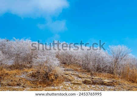 
Landscape photo taken while hiking Mt. Jirisan in winter