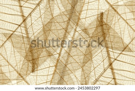 2024 Vision - Captivating Nature's Canvas - A Stock Photo Collection Royalty-Free Stock Photo #2453802297