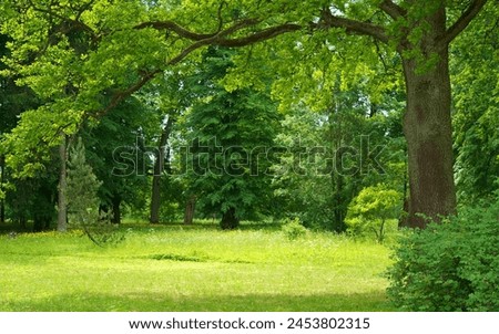 2024 Vision - Captivating Nature's Canvas - A Stock Photo Collection Royalty-Free Stock Photo #2453802315