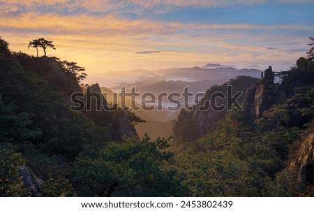 2024 Vision - Captivating Nature's Canvas - A Stock Photo Collection Royalty-Free Stock Photo #2453802439