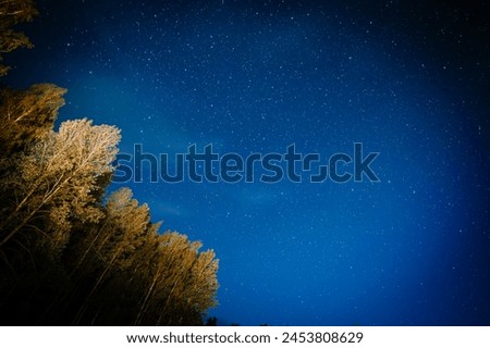 Valmiera, Latvia - August 10, 2023 - Starry night sky with the silhouette of trees.
