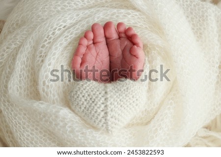 The tiny foot of a newborn baby. Soft feet of a new born in a wool white blanket. Close up of toes, heels and feet of a newborn. Macro photography.