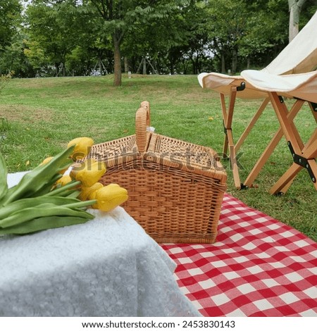 a picture during a picnic