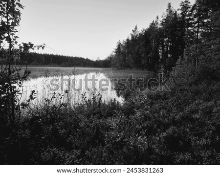 Taking this picture in the summer on the Fishing lake in black a and white seems like a mysterious forest 