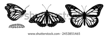 Butterfly monarch Vector Set. Black line art drawing of vintage wings. Outline illustration of insects. Hand drawn clipart of a cute caterpillar. Linear sketch on isolated white background