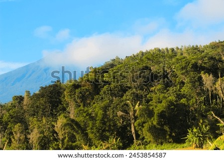 Mountain valley in the morning. Natural summer landscape in central java