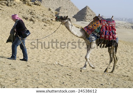 Desert adventure in Egypt