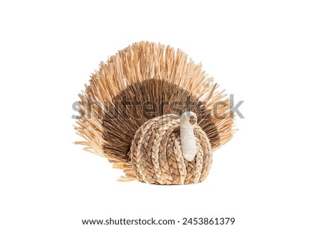 Funny Happy Thanksgiving turkey make of hay