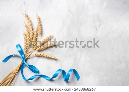 Wheat crops bouquet with blue ribbon on white marble background, top view, copy space. Happy Shavuot. Jewish holiday shavuot concept template. Royalty-Free Stock Photo #2453868267