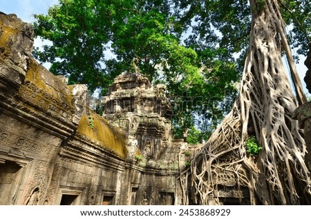 Angkor Wat Temple cambodia ancient world heritage unsesco. High quality photo