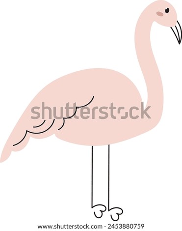 Swan Hand Drawn Vector Illustration