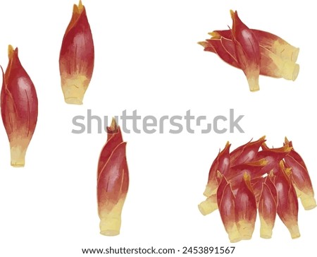 Watercolor style Japanese ginger various set Royalty-Free Stock Photo #2453891567