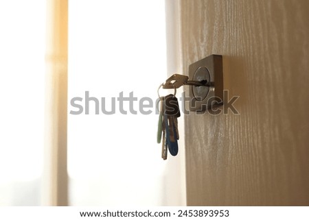 Bunch of different metal keys in lock of new entrance door of house or office, on the outside, safety, open door, security, privacy. Concept of real estate or renting home with sunlight, copy space. Royalty-Free Stock Photo #2453893953
