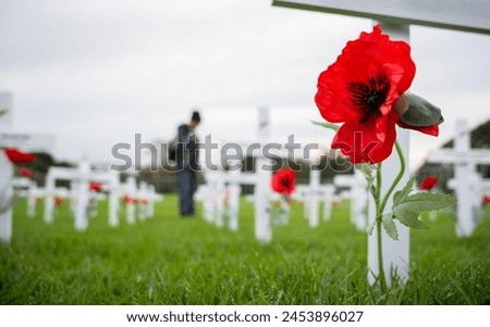 White crosses and red poppies at Anzac Day commemoration. Out-of-focus people paying respect to fallen soldiers. Auckland. New Zealand. Royalty-Free Stock Photo #2453896027
