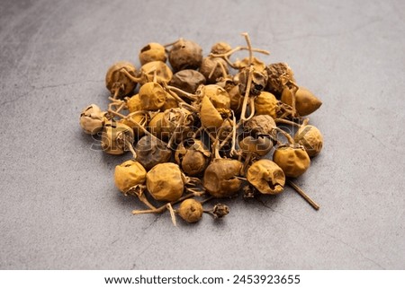 Ayurvedic Choti Kateli also known as Kantkari or Solanum Surattense dried and powder form Royalty-Free Stock Photo #2453923655
