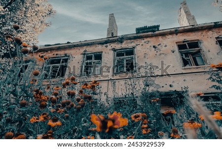fresh natural flowers against the background of destroyed burnt houses war in Ukraine with Russia