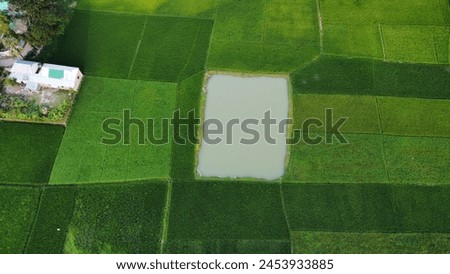 Aerial drone bird eye view of Rupganj, Dhaka, Bangladesh. A beautiful pond in the middle of paddy fields. beautiful Bangladesh. Beautiful aerial view landscape. drone landscape photography.
