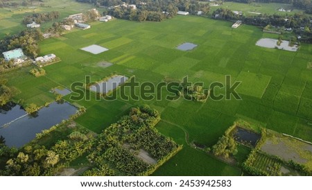 Aerial drone bird eye view of Gazipur, Dhaka, Bangladesh. beautiful Bangladesh. Beautiful aerial view landscape with green nature, river, village view. drone landscape photography.