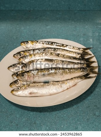 Fresh sardines on white marble background. Fresh seafood, sea fish, full of omega 3 and micro elements. Healthy food
