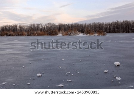 Beautiful and unusual winter nature, the frozen and covered with thick ice Dnipro River with white snow, trees, dry golden ice. Royalty-Free Stock Photo #2453980835