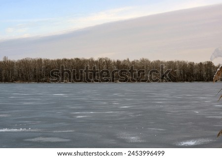 Beautiful and unusual winter nature, the frozen and covered with thick ice Dnipro River with white snow, trees, dry golden ice. Royalty-Free Stock Photo #2453996499