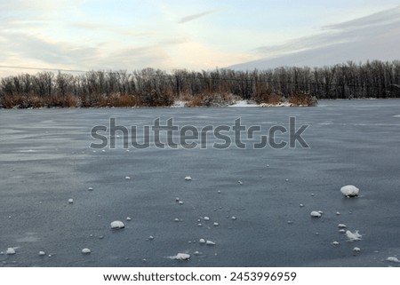 Beautiful and unusual winter nature, the frozen and covered with thick ice Dnipro River with white snow, trees, dry golden ice. Royalty-Free Stock Photo #2453996959