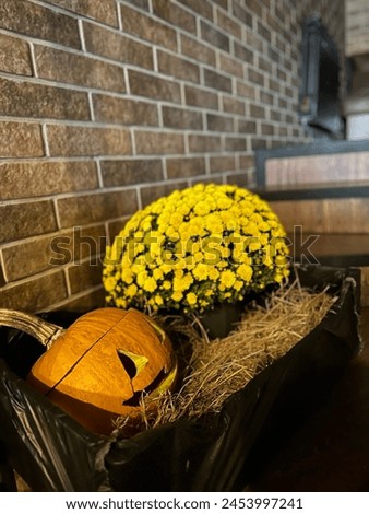 Helloween decoration for october mood