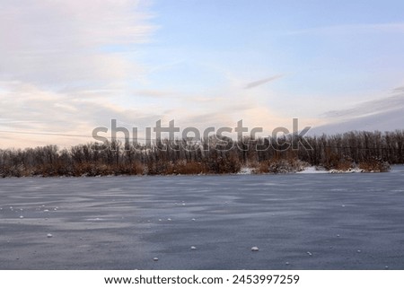 Beautiful and unusual winter nature, the frozen and covered with thick ice Dnipro River with white snow, trees, dry golden ice. Royalty-Free Stock Photo #2453997259