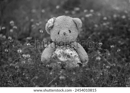 Beautiful black and white picture of a teddy bear in the grass.