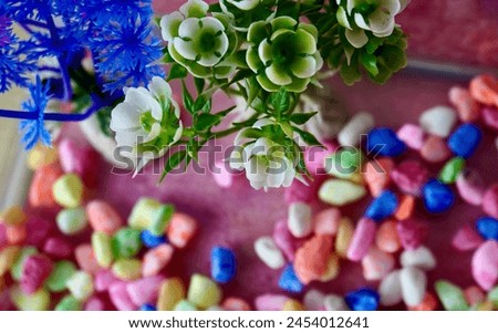 Plastic flowers and colorful rainbow stones for aquarium or fish tank decoration isolated on horizontal ratio background.