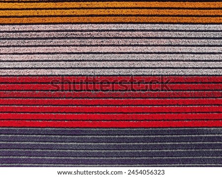 Aerial topshot from tulip fields in spring in the Netherlands Royalty-Free Stock Photo #2454056323