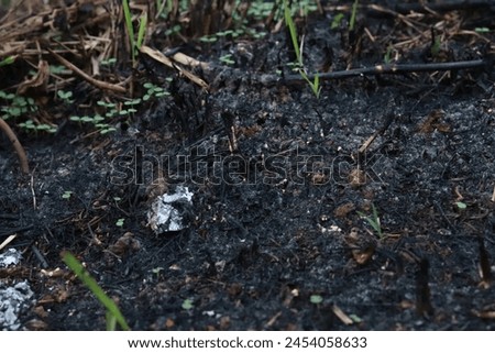 burning, residue from burning fields, background of residue from burning fields, burning grass, charcoal from field fires