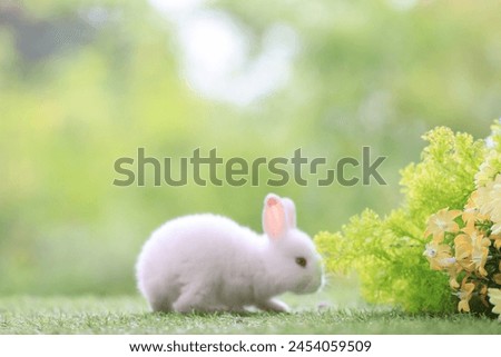 Lovely bunny easter fluffy baby  white rabbit with colorful easter eggs on green garden with flowers nature background on sunny warmimg springtime day. Symbol of easter day festival. summer season.