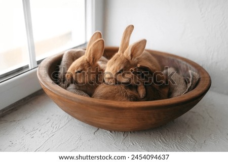 Three red-haired little rabbits in a wooden plate at home on white background. Easter photo, holiday. Farm, animal breeding. young rabbits fauve de Bourgogne.