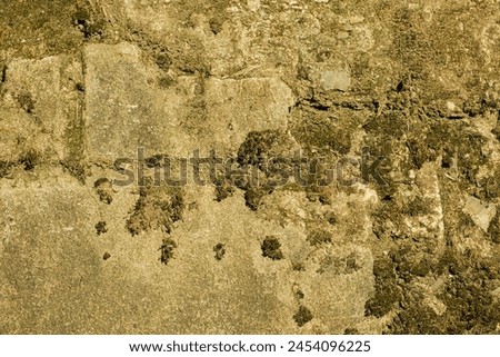 Close-up of concrete wall overgrown with moss and covered with dirt, background, texture.