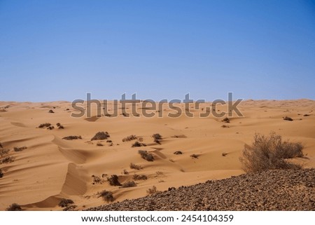 The Grand Ergs are the largest inhospitable, deserted and deadliest parts of the Sahara Desert with hundreds of kilometres of nothing but sand and dunes Royalty-Free Stock Photo #2454104359