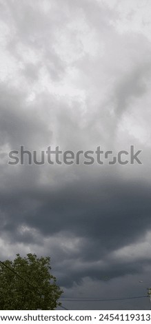 Gray sky completely covered with clouds over green treetops, on a spring day (sky landscape, cloud print, vertical photo, texture).
