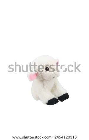 little funny sock puppet isolated on white background. soft toys collection. space for text. top view. high resolution close Up. studio shot.