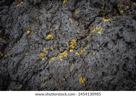 Close up picture of vulcanic rock with yellow lichen