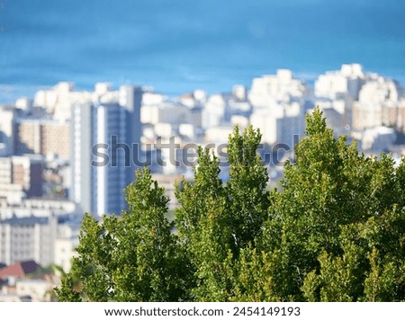 Tree, buildings and outdoor view of city in summer for holiday or vacation with sunshine and urban landscape. Skyscrapers, Miami skyline and country for travel or tour, cityscape and nature in town.