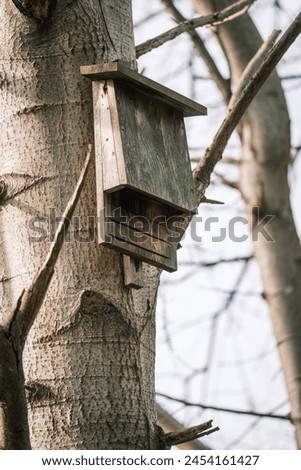 A bat flat box hangs on a tree trunk