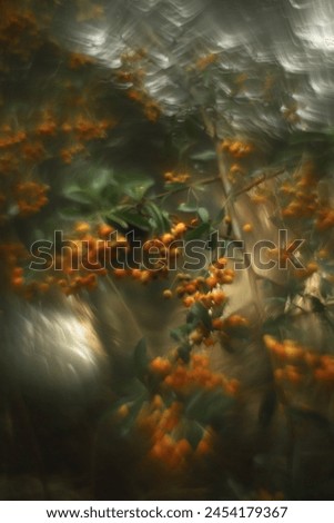 abstract nature photography with warm colors and an incredible bokeh effect