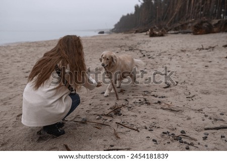 a woman is taking a picture of a dog on the beach.