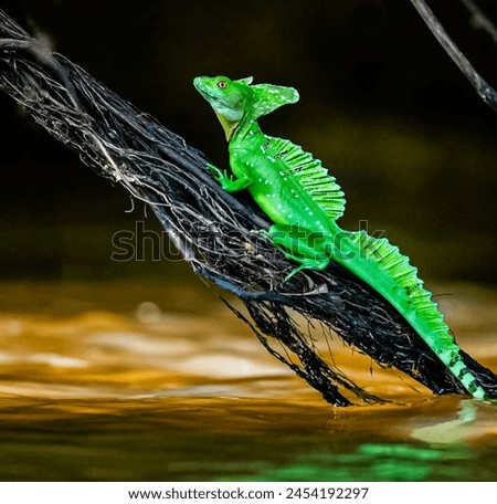 Vibrant Green Lizard on Dark Branch Over Golden-Brown Water, Detailed Scales and Spines Visible, Nature Wildlife Photography, Exotic Reptile in Natural Habitat, Artistic Contrast, Mid-Stride Pose”
