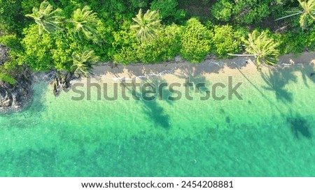 A breathtaking tropical island seen from above. Pristine waters, golden sands, and coconut trees dancing in the breeze. Picture-perfect paradise. Natural wonders concept. Ko Chang island, Thailand.