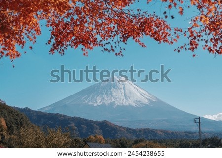 Mount Fuji view at Saiko Iyashino Sato Nenba in Autumn season. Mt Fujisan in Fujikawaguchiko, Yamanashi, Japan. Landmark for tourists attraction. Japan Travel, Destination, Vacation and Mount Fuji Day Royalty-Free Stock Photo #2454238655