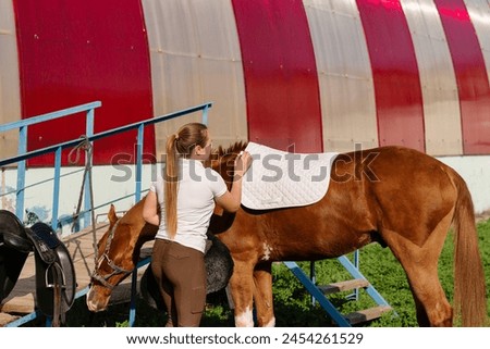 Woman saddling up chestnut equine. Female rider places a white saddle-blanket on the horse's back. Royalty-Free Stock Photo #2454261529
