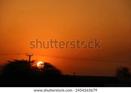 That paints quite the picture! The juxtaposition of nature's beauty with the intrusion of man-made elements like electric cables creates an intriguing scene. The sunrise, casting its golden hues, adds