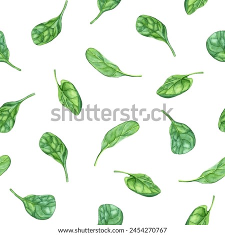 Watercolor repeat, seamless pattern with leafy green flowering plant spinach. Hand drawn illustration for clip art menu label package