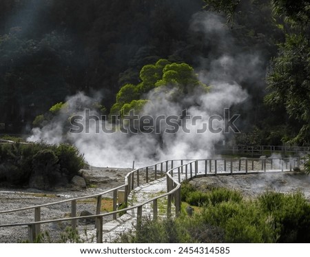 The hot steam from volcanic activity near the Lagoa das Furnas, Azores.  Royalty-Free Stock Photo #2454314585
